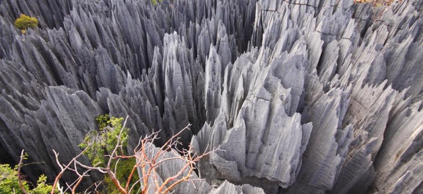 Sinji de Bemaraxa - Madagaskar orolidagi tosh o'rmon
