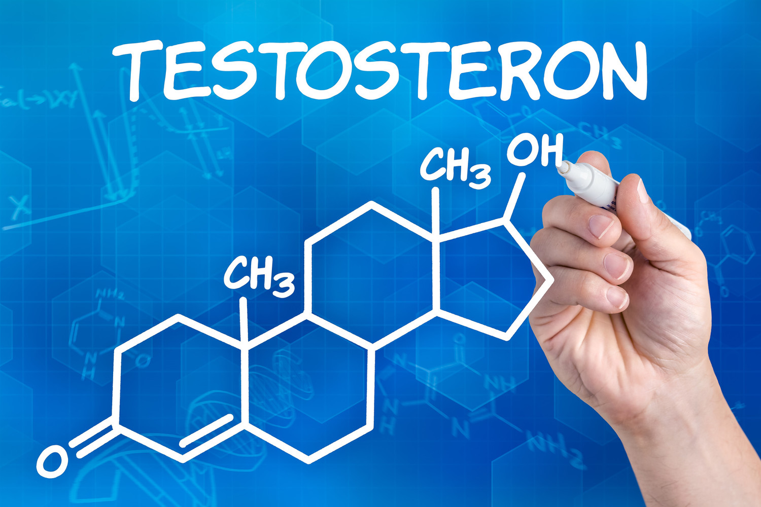 Testosteron gormoni haqida